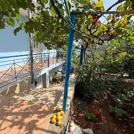 דירות הימארה Dina House מראה חיצוני תמונה
